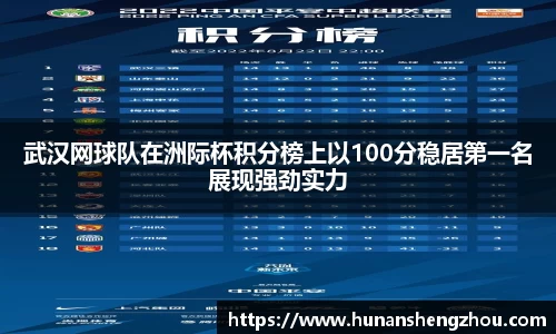 武汉网球队在洲际杯积分榜上以100分稳居第一名展现强劲实力