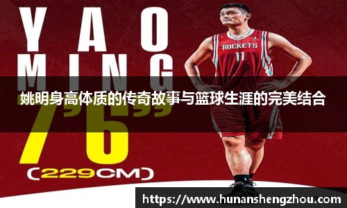 完美体育登录入口